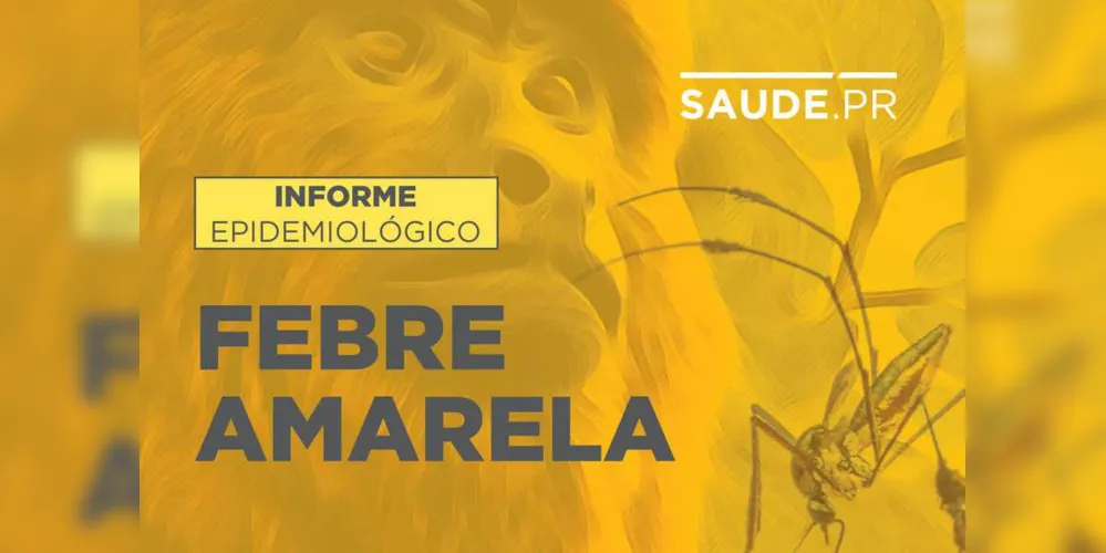 Boletim quinzenal da Febre Amarela divulgado pela Secretaria da Saúde do Paraná confirma a morte de um macaco (epizootia) contaminado pelo vírus da doença na área da 2ª Regional de Saúde Metropolitana. O caso foi registrado no município de Piraquara, em área próxima à divisa com a 1ª regional de Saúde de Paranaguá