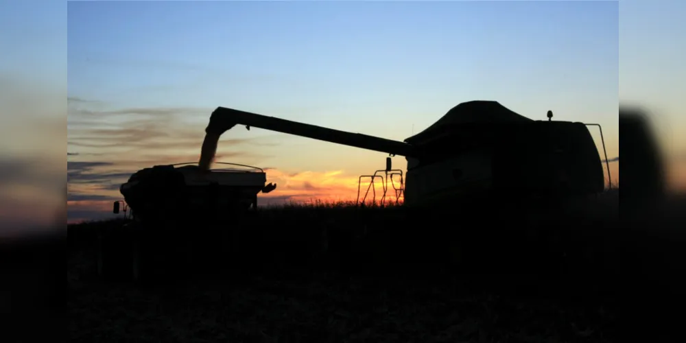 Imagem ilustrativa da imagem Castrolanda e Frísia estão entre as 100 maiores do agro nacional