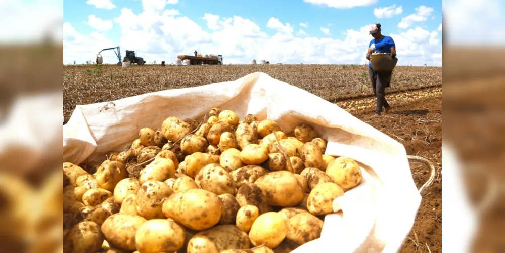 Imagem ilustrativa da imagem Cesta básica representa 64% do salário mínimo este mês