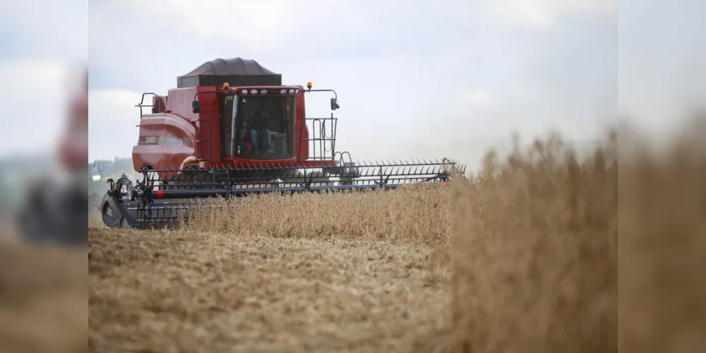 Na região dos Campos Gerais já foi concluída a colheita da primeira safra dos três principais produtos: soja, milho e feijão