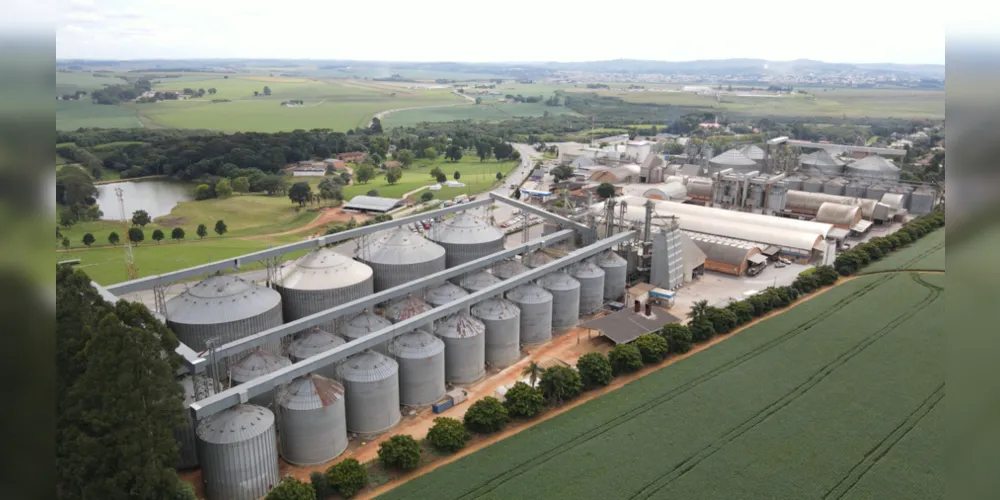 Imagem ilustrativa da imagem Castrolanda tem rendimento acima da média estadual na soja