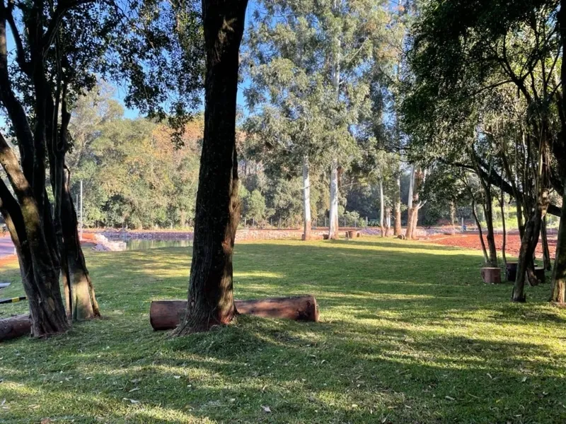 Confira a Coluna Ponta Lagoa dessa semana (05/06)