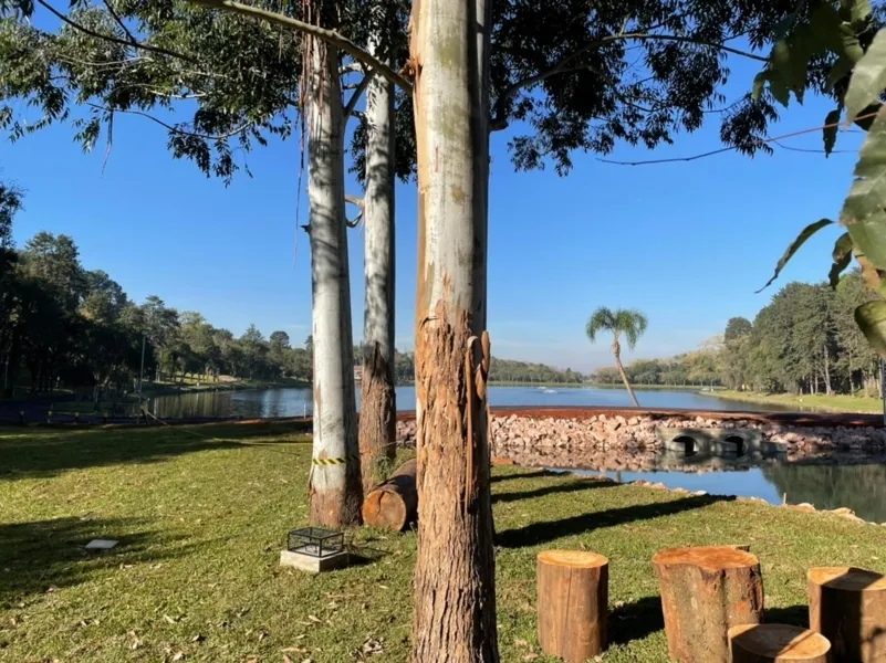 Confira a Coluna Ponta Lagoa dessa semana (05/06)