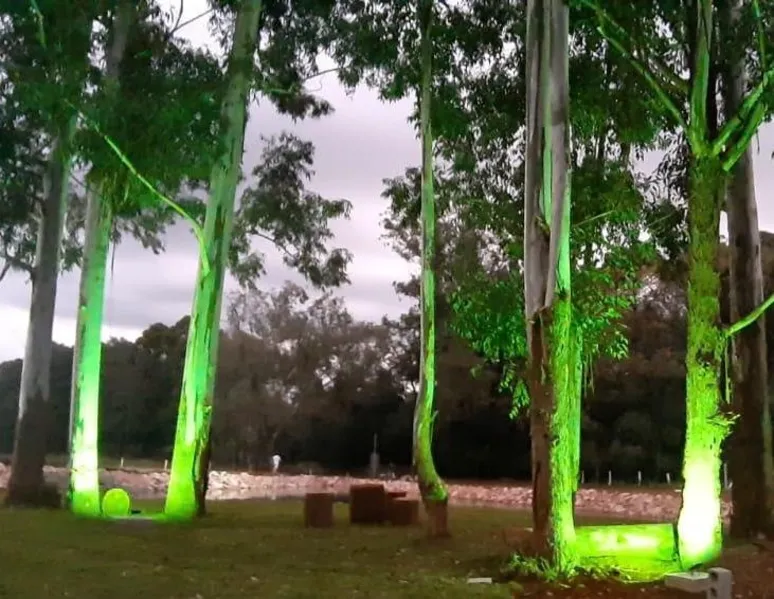 Confira a Coluna Ponta Lagoa dessa semana (05/06)