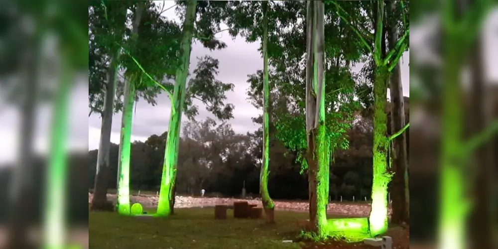 Confira a Coluna Ponta Lagoa dessa semana (05/06)