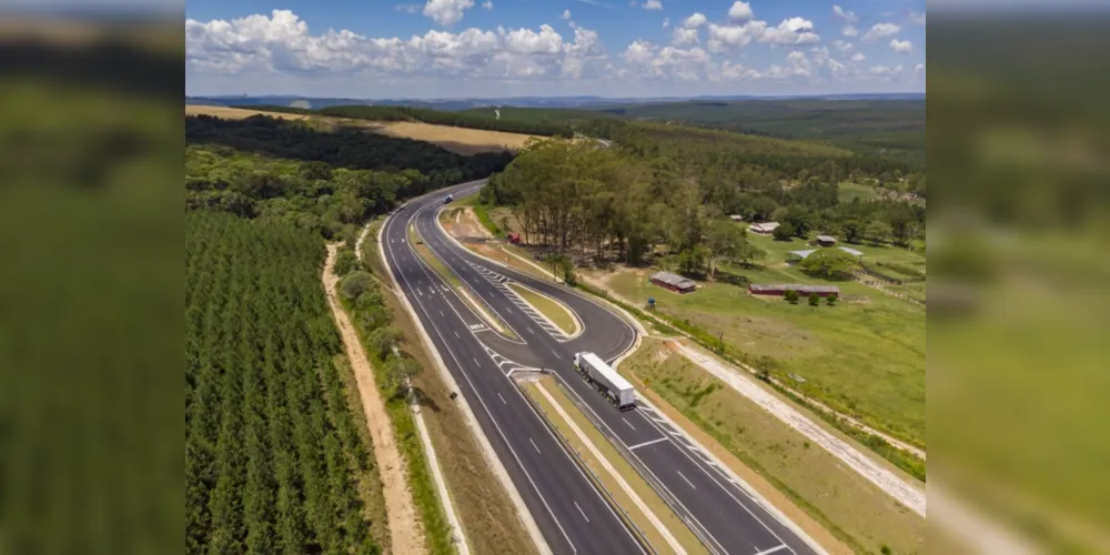 Imagem ilustrativa da imagem PR-151 é estratégica na logística do setor madeireiro