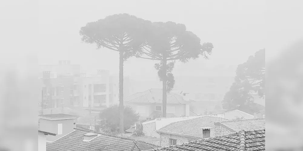 O inverno começa às 0h32 desta segunda-feira - 21 de junho - e termina à 16h21 do dia 22 de setembro. Segundo o Sistema de Tecnologia e Monitoramento Ambiental do Paraná (Simepar), no primeiro dia o tempo fica parcialmente nublado nas regiões Norte e Noroeste.  -  Curitiba, 18/06/2021  -  Foto: Denis Ferreira Netto