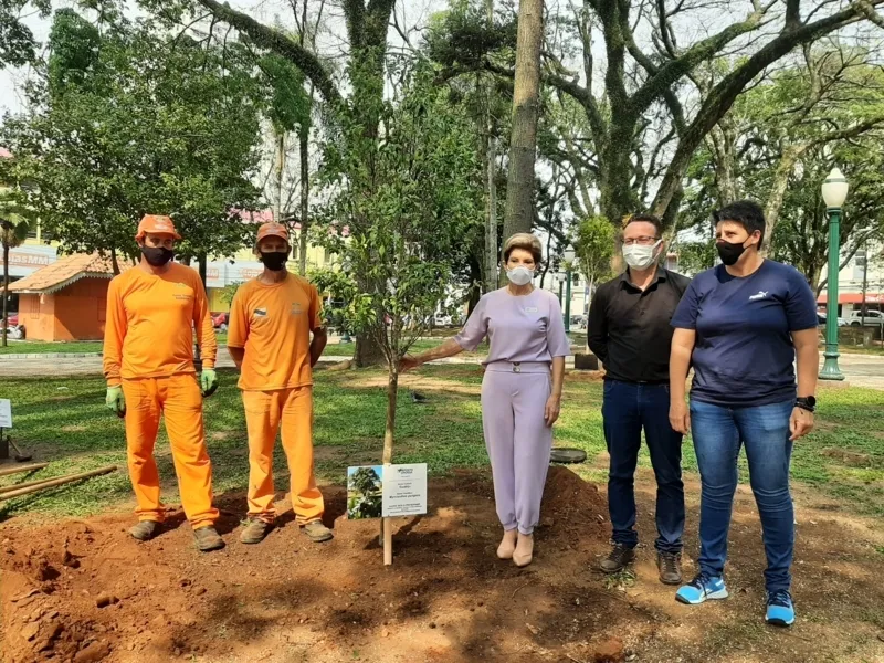 Ponta Grossa ultrapassa 2.200 árvores plantadas em 2021