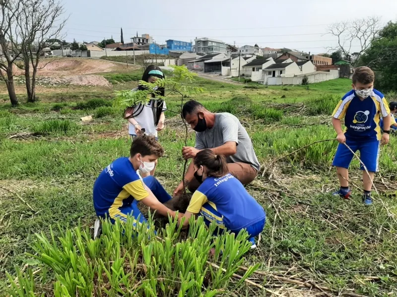 Ponta Grossa ultrapassa 2.200 árvores plantadas em 2021