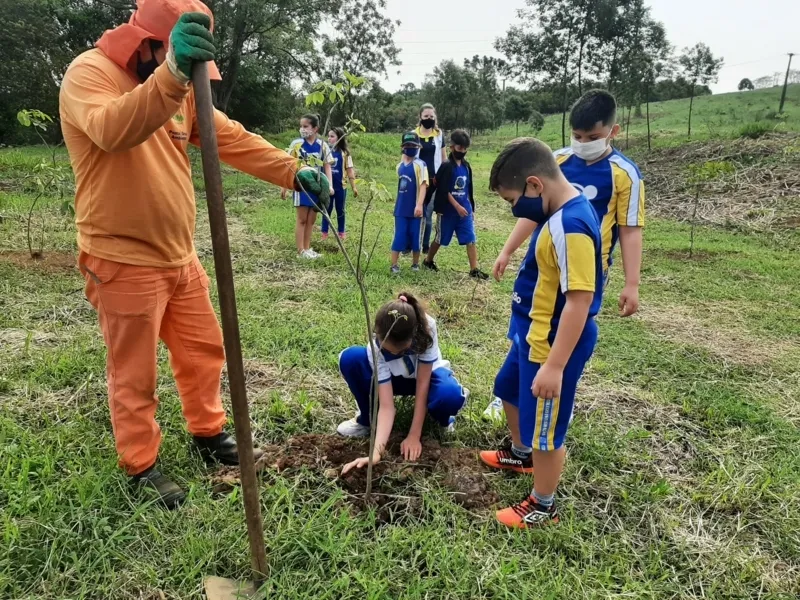 Ponta Grossa ultrapassa 2.200 árvores plantadas em 2021