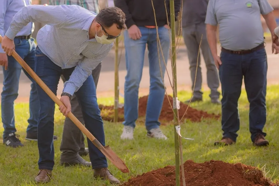 UEPG planta cerejeiras em homenagem a vítimas da Covid-19