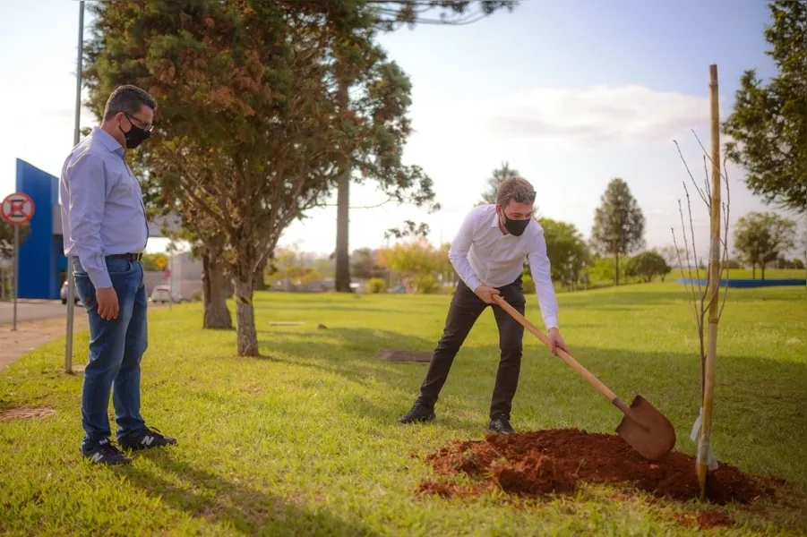 UEPG planta cerejeiras em homenagem a vítimas da Covid-19