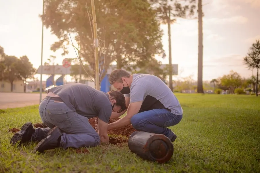 UEPG planta cerejeiras em homenagem a vítimas da Covid-19