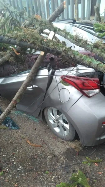 Ventos fortes causam estragos nesta quinta em PG