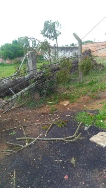Ventos fortes causam estragos nesta quinta em PG