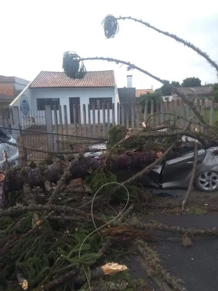 Ventos fortes causam estragos nesta quinta em PG