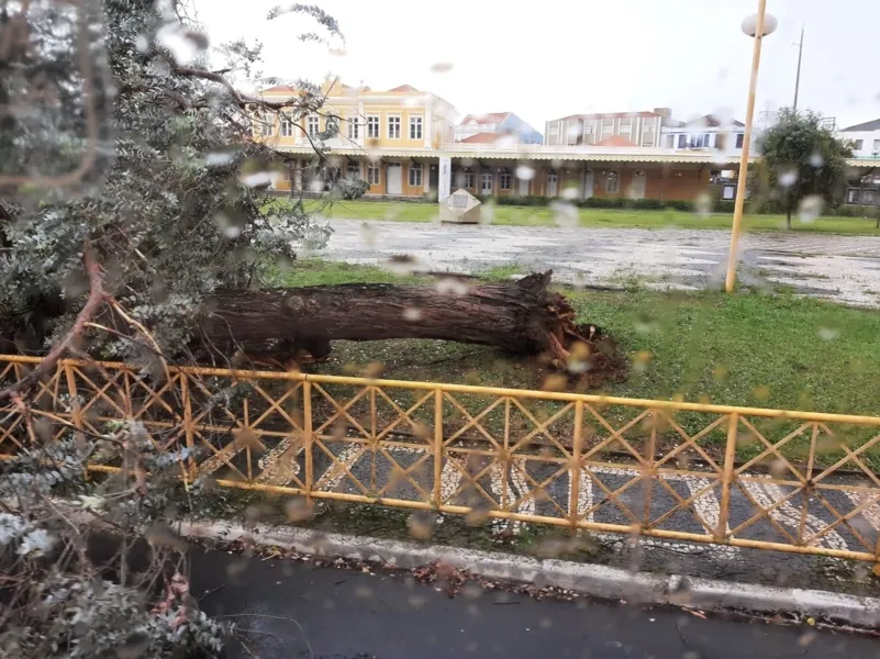 Ventos fortes causam estragos nesta quinta em PG