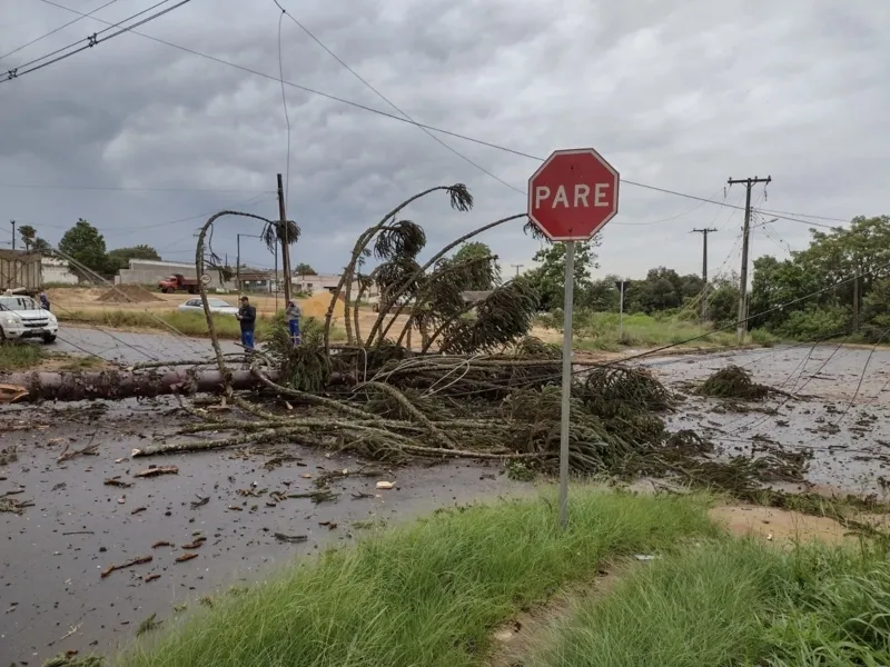Ventos fortes causam estragos nesta quinta em PG