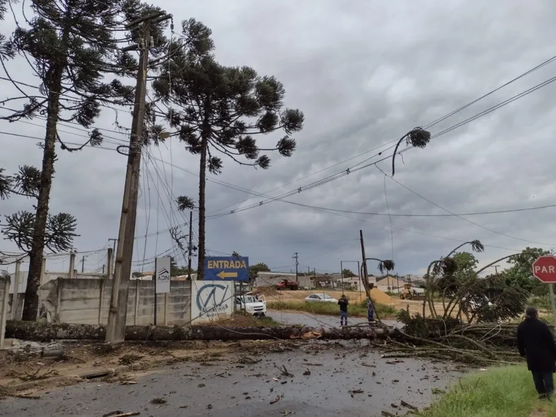 Ventos fortes causam estragos nesta quinta em PG