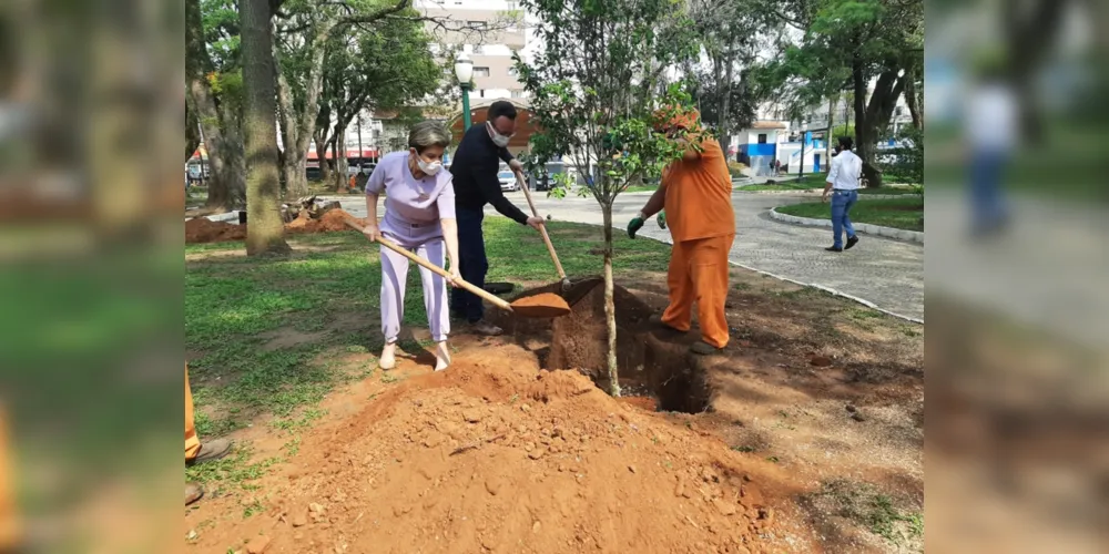 Imagem ilustrativa da imagem Ponta Grossa ultrapassa 2.200 árvores plantadas em 2021