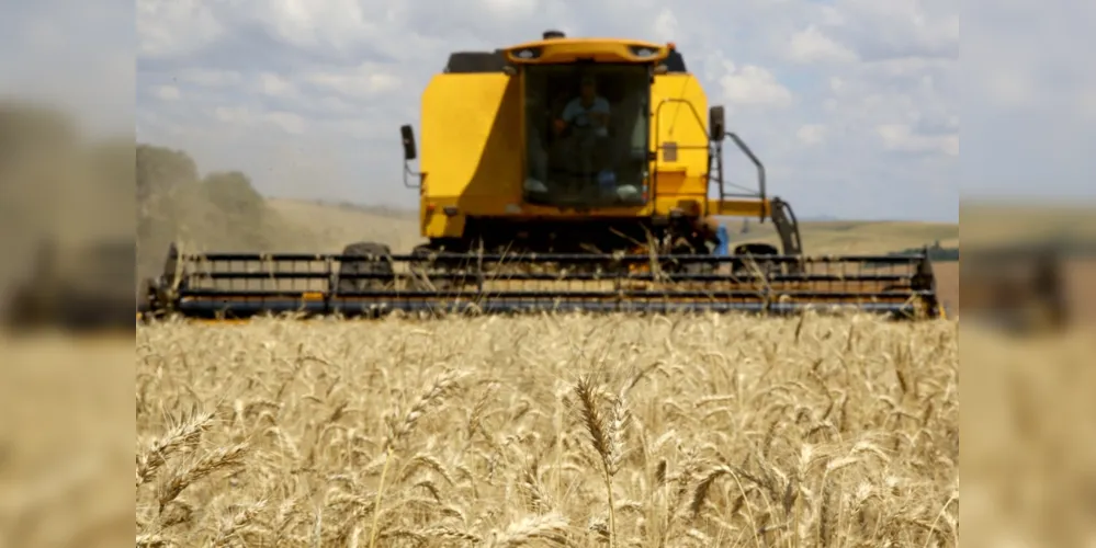 Imagem ilustrativa da imagem Cidades da região lideram na produção agrícola nacional