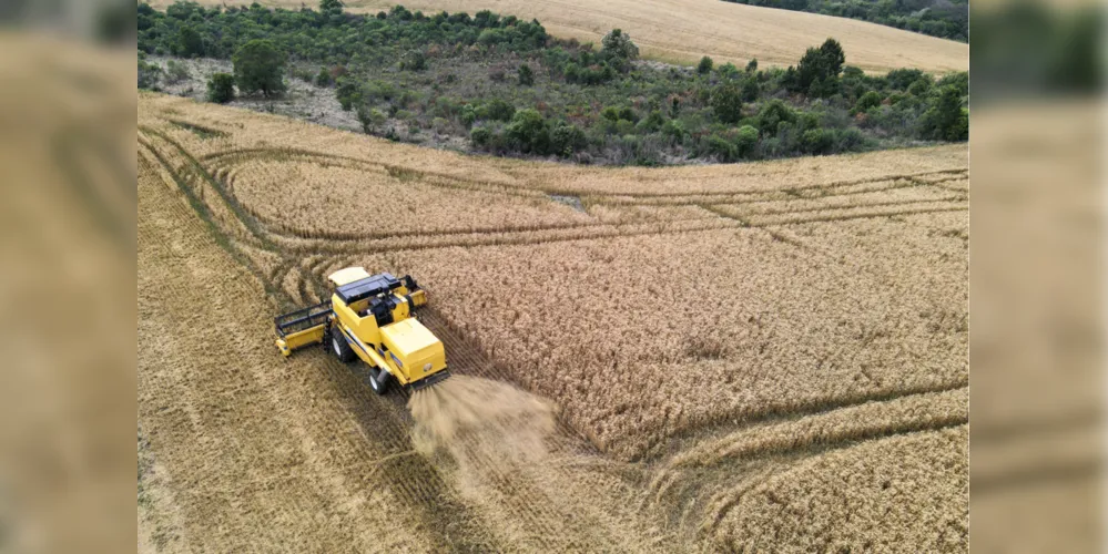 Imagem ilustrativa da imagem Quatro cidades da região somam VBP de R$ 5,72 bi