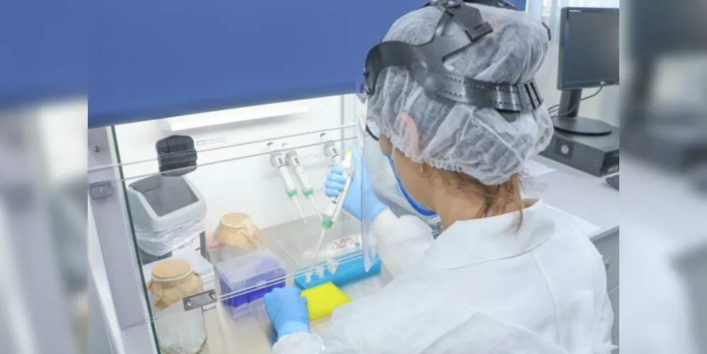 O resultado mostrou que, de 42 amostras testadas, 34 foram Delta e 8 Gama