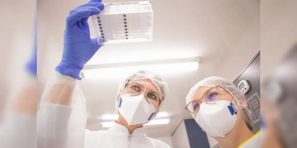 Imagem ilustrativa da imagem UEPG diz que ‘Ômicron’ está em PG desde dezembro