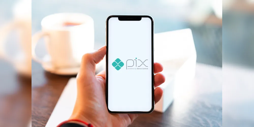 Imagem ilustrativa da imagem Mais de 80% dos pequenos negócios do Paraná usam PIX