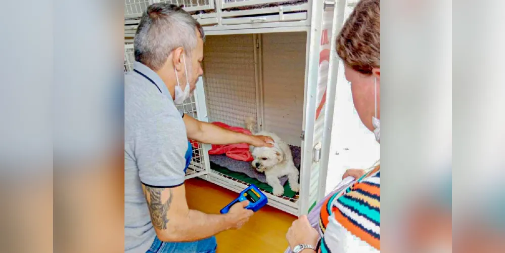 Cirurgias estão sendo feitas no Condomínio Matarazzo, junto ao Samu