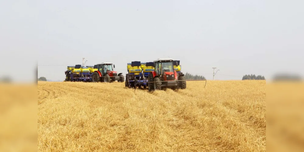 Plantio está quase concluído em todas as regiões paranaenses