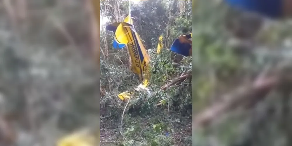 Apesar dos danos na aeronave, piloto saiu ileso