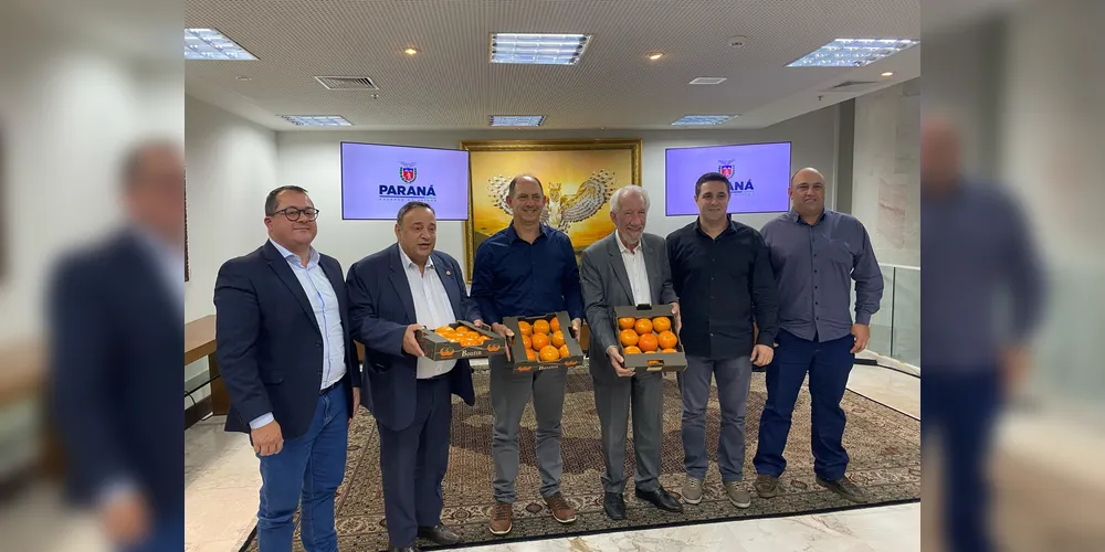 Diego Ribas, Hussein Bakri, Elias Gomes da Costa, Darci Piana e demais lideranças municipais estiveram reunidos