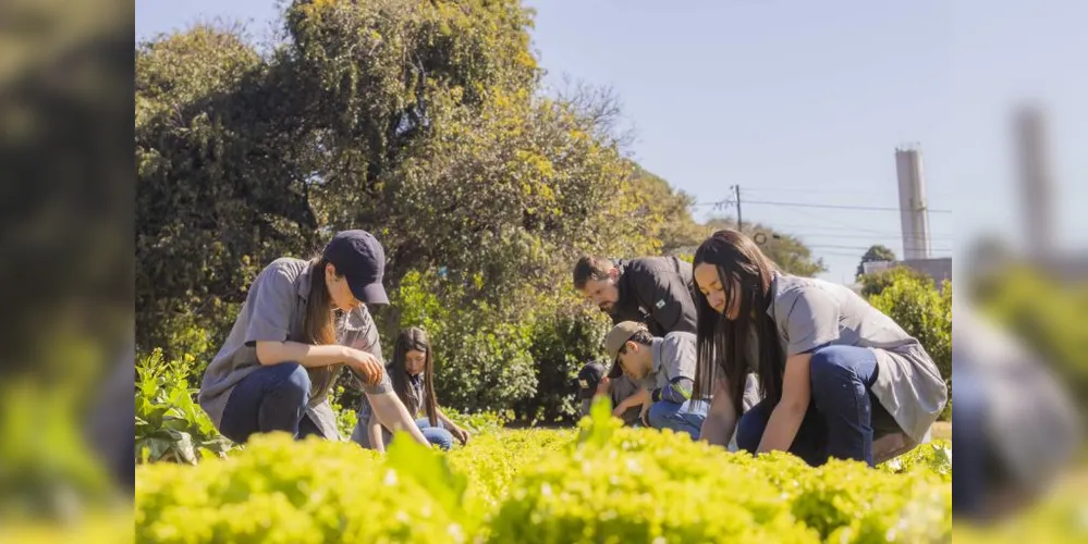 Imagem ilustrativa da imagem Colégio Agrícola da UEPG é a melhor escola pública de PG no Enem 2024