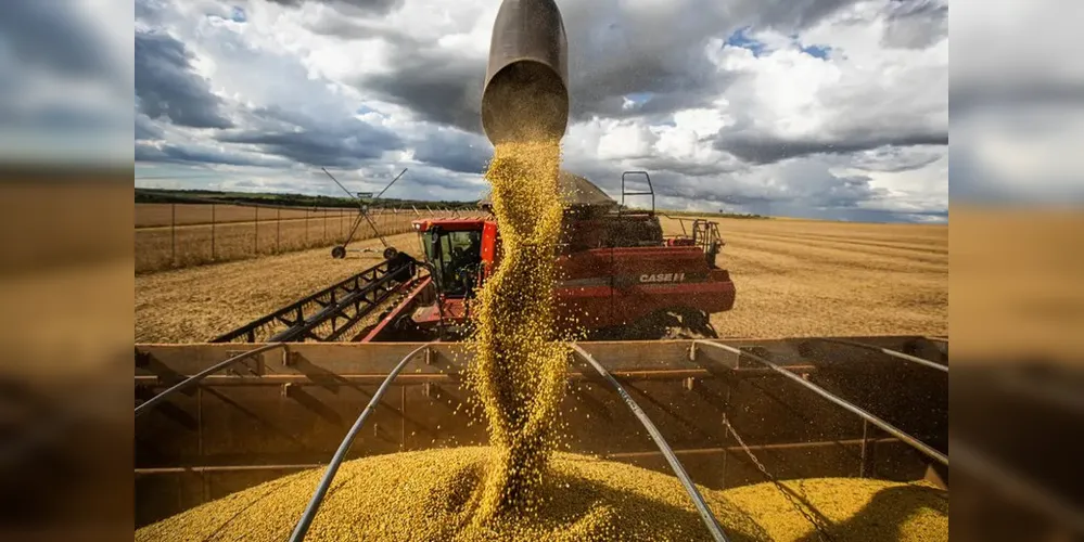 O volume obtido na colheita de grãos na safra 2024/2025 representa uma alta de 16,3% sobre a temporada anterior